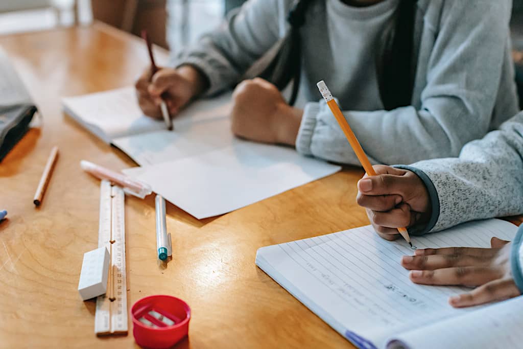 Vis et Deviens - deux enfants faisant leurs devoirs.